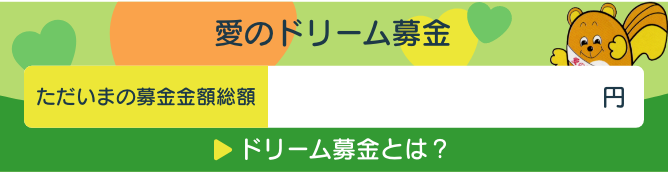 愛のドリーム募金